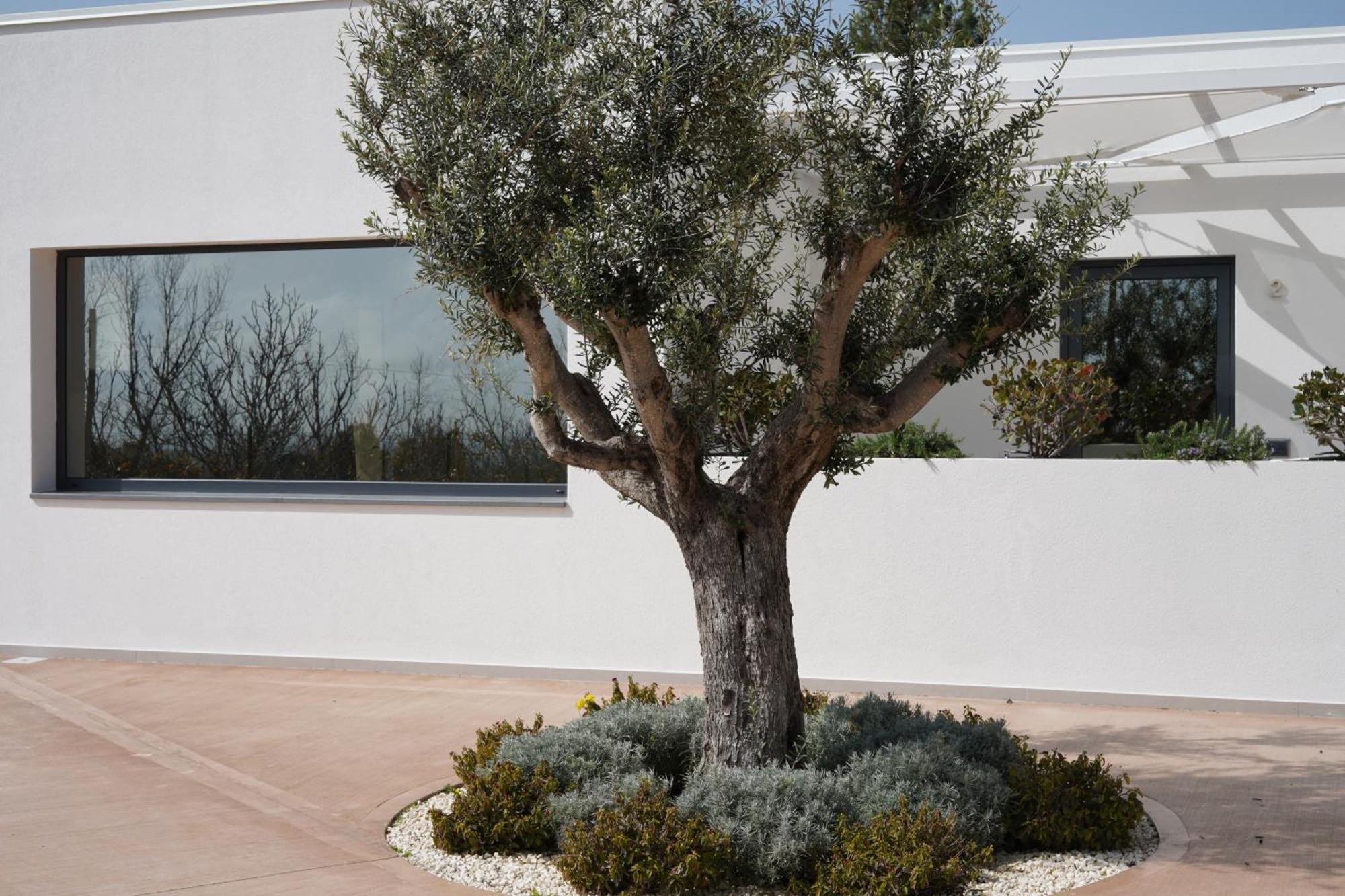 Tenuta San Marco Noto Exterior photo